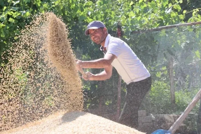 Tarımda Antalya’ya Destek, Kazanç Getirdi