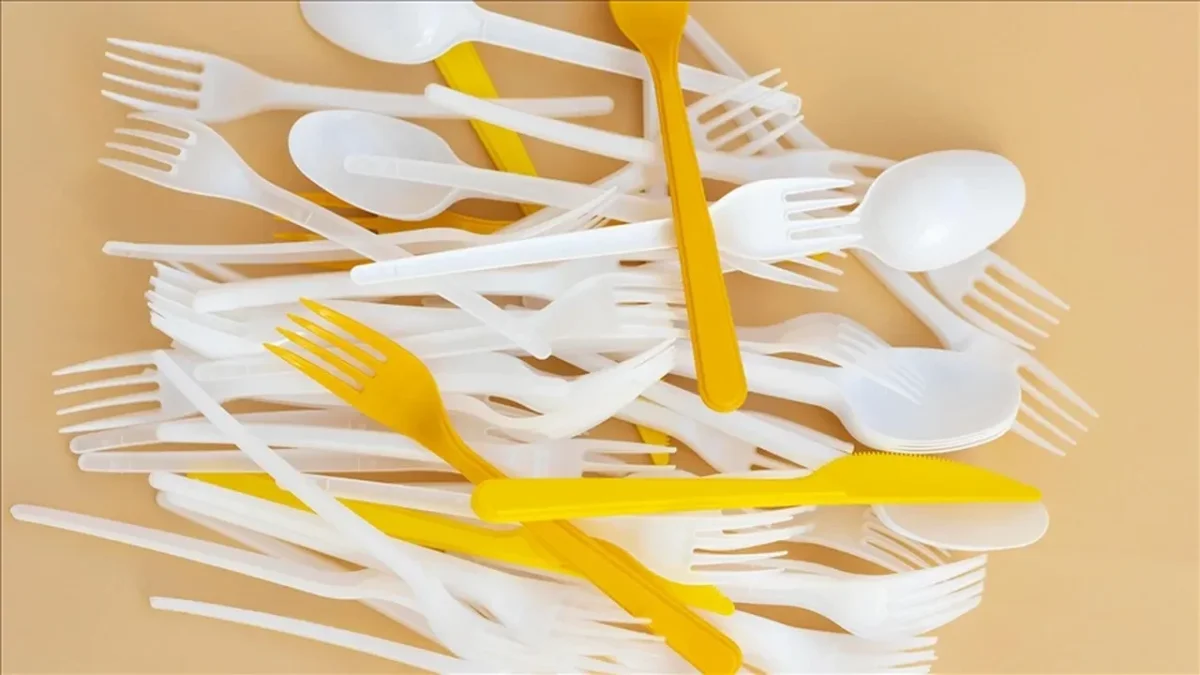 Tek kullanımlık plastiklere kısıtlama geliyor tarih belli oldu